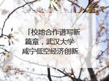 校地合作谱写新篇章，武汉大学·咸宁低空经济创新研究院签约成立