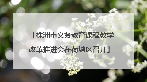 株洲市义务教育课程教学改革推进会在荷塘区召开