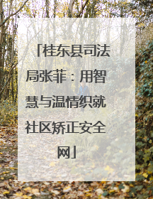 桂东县司法局张菲：用智慧与温情织就社区矫正安全网
