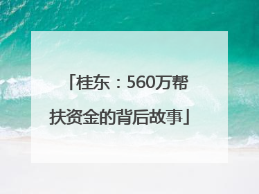 桂东：560万帮扶资金的背后故事