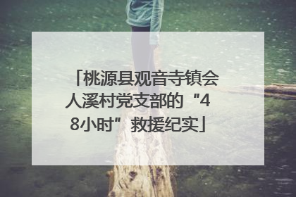 桃源县观音寺镇会人溪村党支部的“48小时”救援纪实