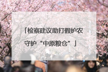 检察建议助打假护农守护“中原粮仓”