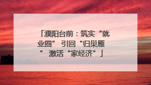 濮阳台前：筑实“就业圈” 引回“归巢雁” 激活“家经济”