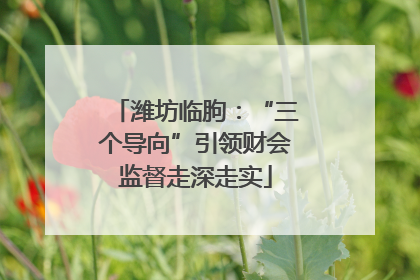 潍坊临朐：“三个导向”引领财会监督走深走实