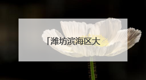 潍坊滨海区大家洼街道开展安全巡查工作