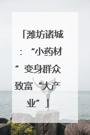 潍坊诸城：“小药材”变身群众致富“大产业”