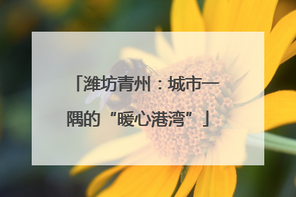 潍坊青州：城市一隅的“暖心港湾”