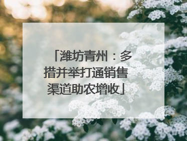 潍坊青州：多措并举打通销售渠道助农增收