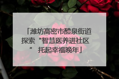 潍坊高密市醴泉街道探索“智慧医养进社区” 托起幸福晚年