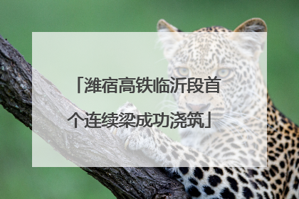 潍宿高铁临沂段首个连续梁成功浇筑