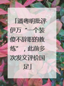 潘粤明批评伊万“一个装傻不辞职的教练”，此前多次发文评价国足