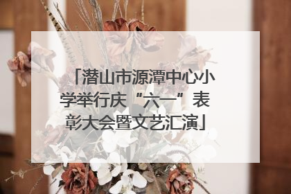 潜山市源潭中心小学举行庆“六一”表彰大会暨文艺汇演