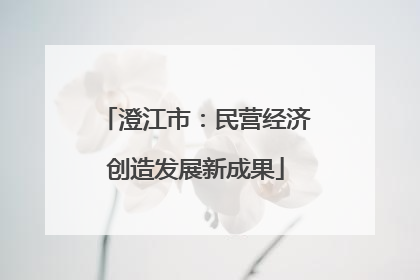 澄江市：民营经济创造发展新成果