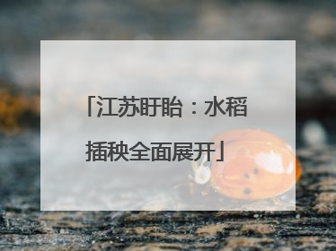 江苏盱眙：水稻插秧全面展开
