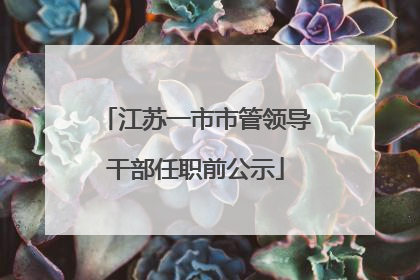 江苏一市市管领导干部任职前公示