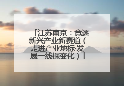 江苏南京：竞逐新兴产业新赛道（走进产业地标·发展一线探变化）