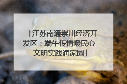 江苏南通崇川经济开发区：端午传情暖民心 文明实践润家园