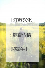 江苏兴化：粽香传情迎端午