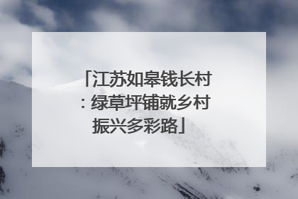 江苏如皋钱长村：绿草坪铺就乡村振兴多彩路