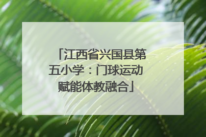 江西省兴国县第五小学：门球运动赋能体教融合