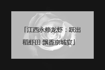 江西永修龙虾：跃出稻虾田 飘香京城宴