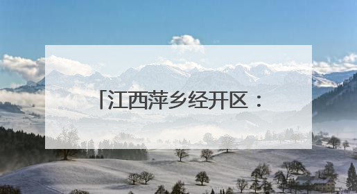 江西萍乡经开区：以学促干创新“四单”工作法助发展