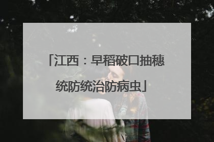 江西：早稻破口抽穗 统防统治防病虫