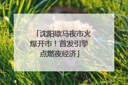 沈阳歇马夜市火爆开市！首发引擎点燃夜经济