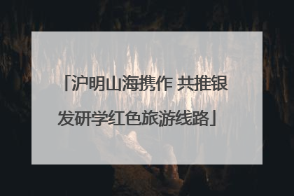 沪明山海携作 共推银发研学红色旅游线路