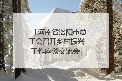 河南省洛阳市总工会召开乡村振兴工作座谈交流会