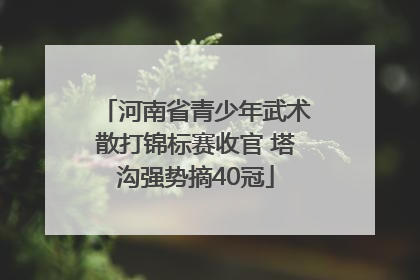 河南省青少年武术散打锦标赛收官 塔沟强势摘40冠