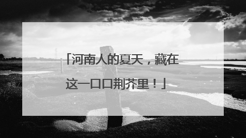 河南人的夏天，藏在这一口口荆芥里！