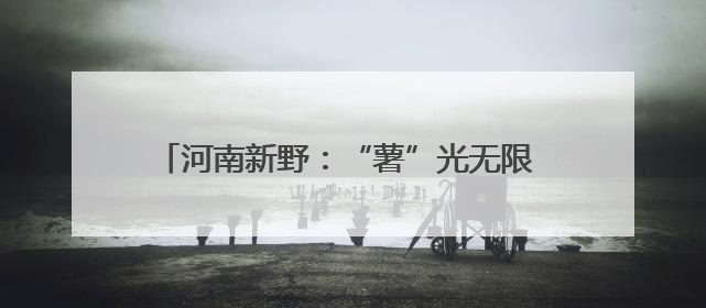 河南新野：“薯”光无限 订单农业激活乡村振兴密码