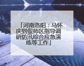 河南洛阳：马怀庆到偃师区指导调研防汛综合应急演练等工作