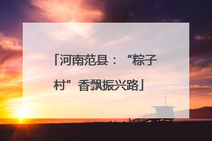 河南范县：“粽子村”香飘振兴路