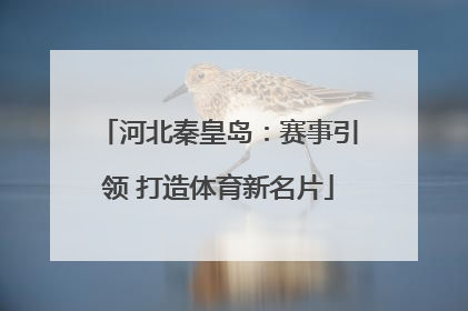河北秦皇岛：赛事引领 打造体育新名片