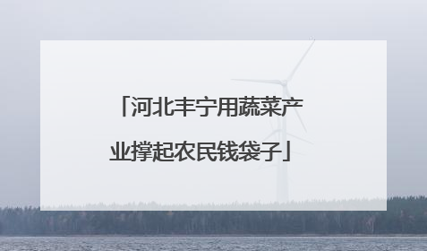河北丰宁用蔬菜产业撑起农民钱袋子
