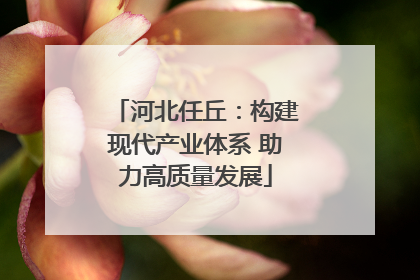 河北任丘：构建现代产业体系 助力高质量发展