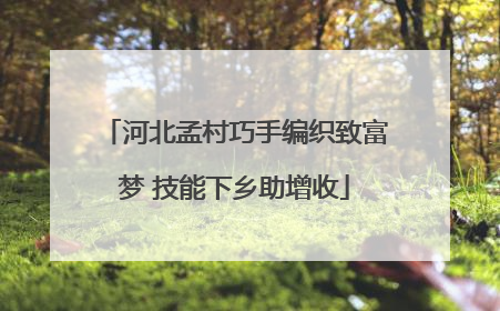 河北孟村巧手编织致富梦 技能下乡助增收