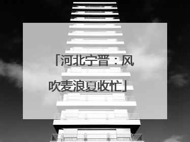 河北宁晋：风吹麦浪夏收忙