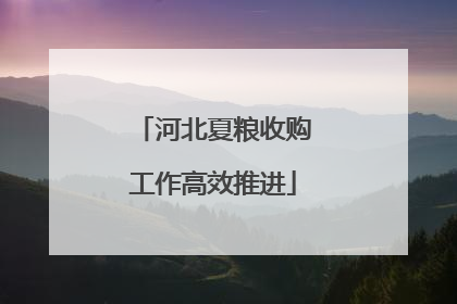 河北夏粮收购工作高效推进