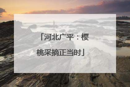 河北广平：樱桃采摘正当时