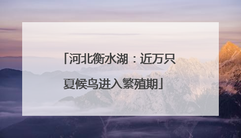 河北衡水湖：近万只夏候鸟进入繁殖期