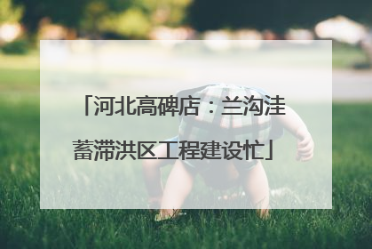 河北高碑店：兰沟洼蓄滞洪区工程建设忙