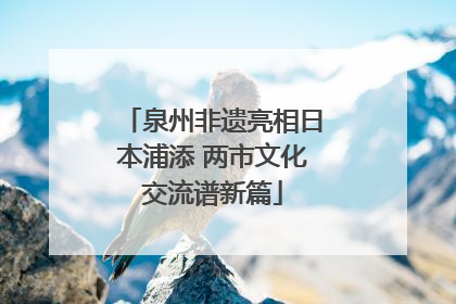 泉州非遗亮相日本浦添 两市文化交流谱新篇