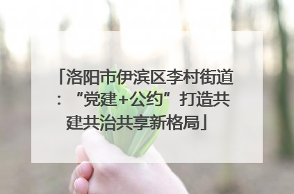 洛阳市伊滨区李村街道：“党建+公约”打造共建共治共享新格局
