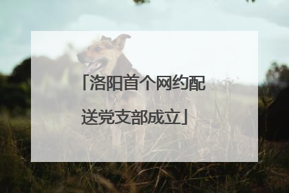 洛阳首个网约配送党支部成立