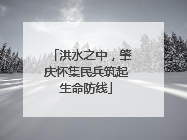 洪水之中，肇庆怀集民兵筑起生命防线