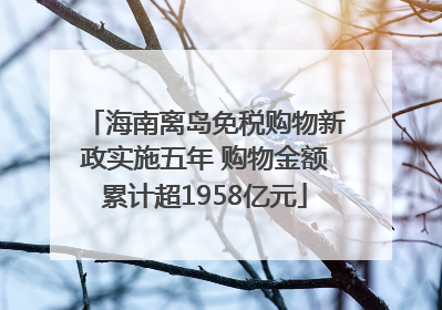 海南离岛免税购物新政实施五年 购物金额累计超1958亿元