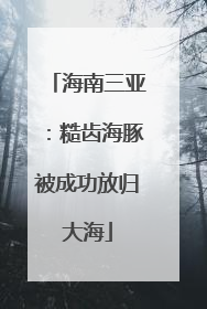 海南三亚：糙齿海豚被成功放归大海